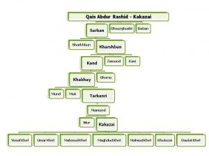Kakazai Pashtun Family Tree in English