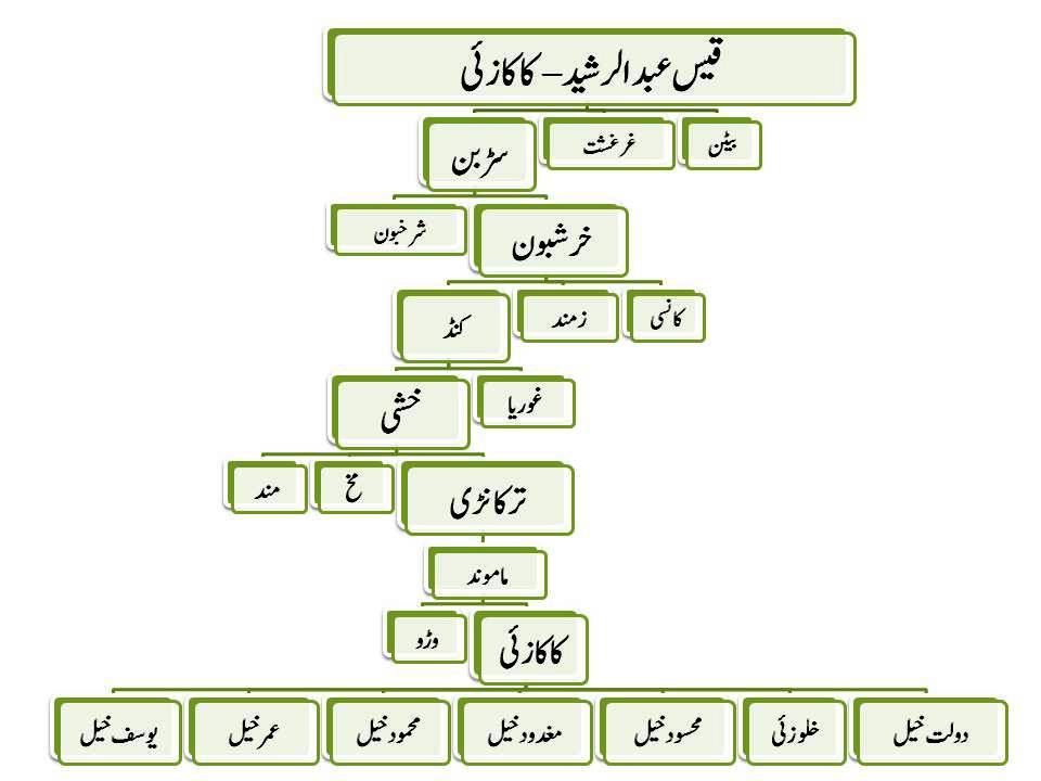 Kakazai Pashtun Family Tree in Urdu
